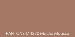 Pantone 17-1230 Mocha Mousse